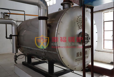 YYW series ​textile boiler